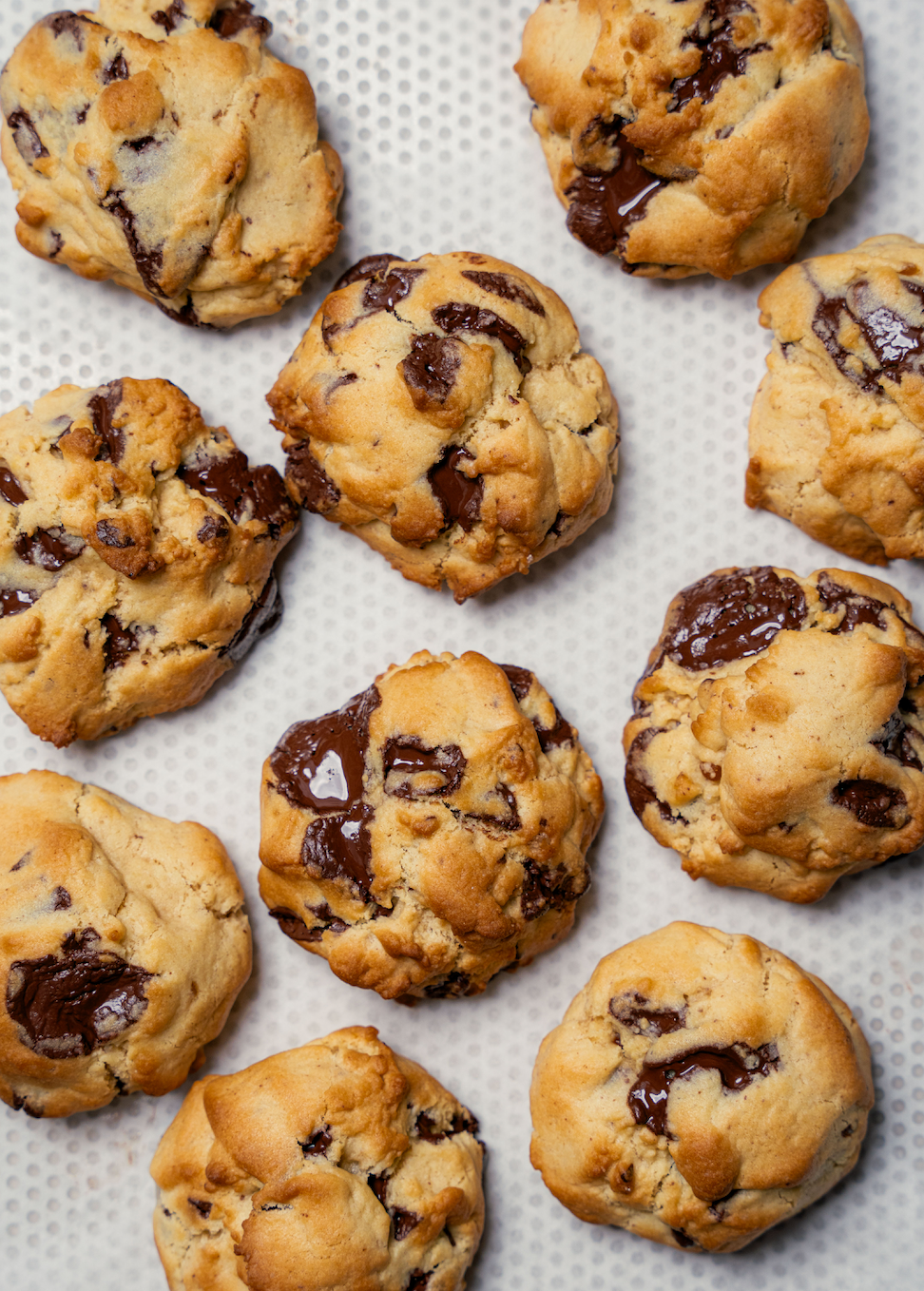 cookies oh my cooks bachelor